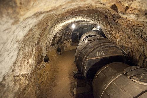 Casa Rural La Prensa De Vino Hotel San Esteban De Gormaz Bilik gambar